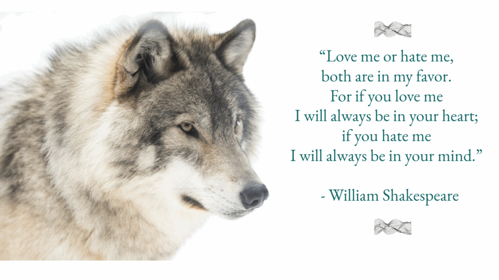 Das Bild zeigt einen Wolf mit einem Zitat von William Shakespeare. Das Zitat soll anregen über die Frage Wer bin ich nach zu denken